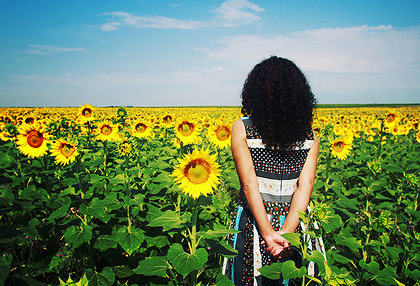 安卓ddos攻击工具